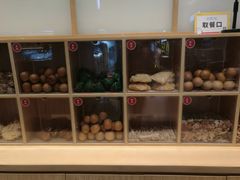 -炖物24章·顺时轻养茶(黄龙店)