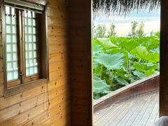 -池杉湖湿地公园