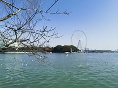 -无锡蠡湖国家湿地公园-蠡园