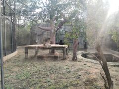 -石家庄市动物园