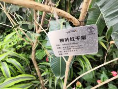 -北京植物园-展览温室