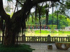 -光明港公园