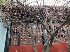 -青羊宫