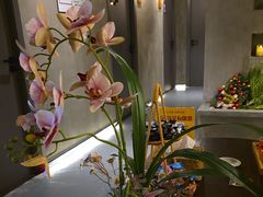 -施奈儿.洗头頭療.按摩SPA.采耳(上梅林店)