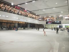 -TheRink大零溜冰场(IFS国金中心店)