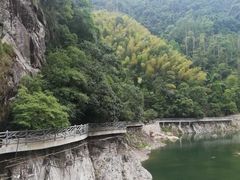 -龙湾潭国家森林公园