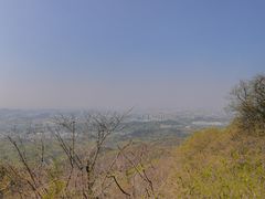-紫金山山顶公园