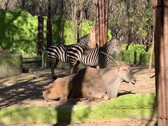 -北京野生动物园