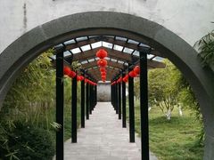 android_upload_pic-走马楼饭庄(慈城古县城店)