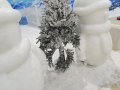 -世界之窗阿尔卑斯冰雪世界