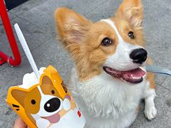 -麦当劳(北京路广百广场店)