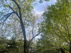 -元大都城垣遗址公园