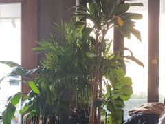 -the rug 飞毯 (朝阳公园店)