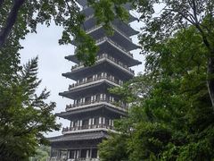 -宜兴龙背山森林公园