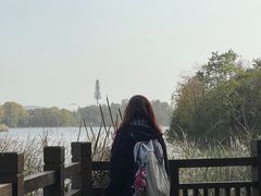 -九龙湖公园