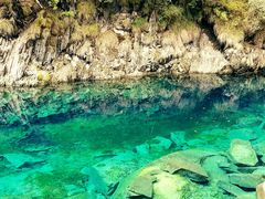 -叠溪松坪沟景区