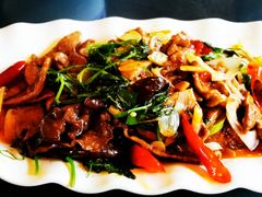 家常猪肝-代木儿回锅肉