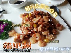 -丁老爷子苏香圆