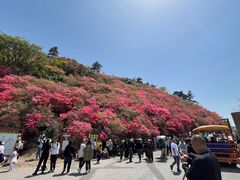 -木兰云雾山