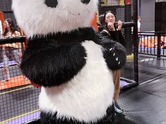 -Tenker Club弹刻极限主题公园 · 蹦床 · 团建 · 生日派对(大关店)