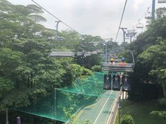 -圣淘沙天际线斜坡滑车
