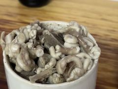 -广达眼镜炖罐(广达店)