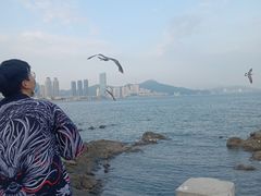 -黑石礁公园