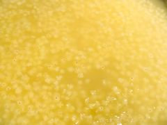 内蒙赤峰小米粥-北方家宴(番禺永旺店)