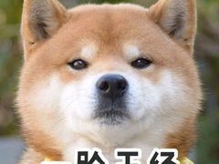 -王记西鎮电烤肉(汶上路店)