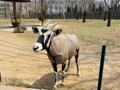 -大连森林动物园