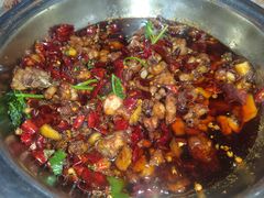 -食神又名厕所兔