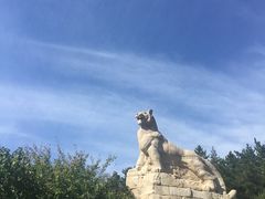 -帽儿山国家森林公园