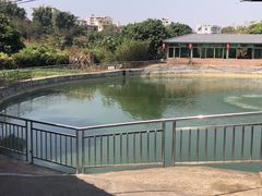 -农家小院土菜馆(斩坑桥店)