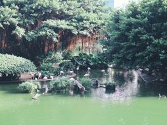 -九龙公园
