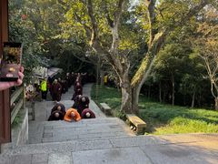 -普陀山风景区-佛顶山