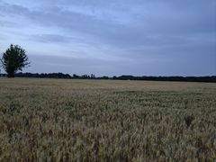 -汉长安城未央宫国家考古遗址公园