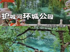 -环城公园