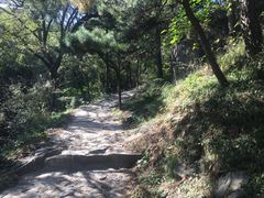 -北京鹫峰国家森林公园