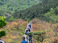 -大围山国家森林公园