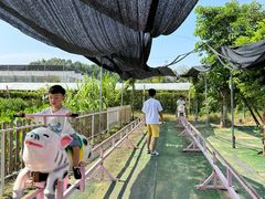 -长洲岛都市农业公园