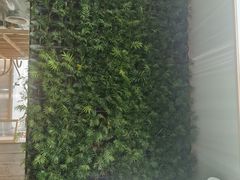 -Green Option(官舍店)