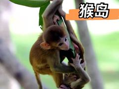 -三亚太阳湾柏悦酒店