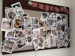 -立德异宠动物医院.兔鸟爬.内窥镜(天河店)