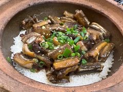 -红星光发煲仔饭(大石街店)
