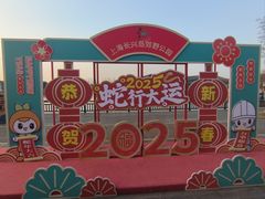 -上海长兴岛郊野公园