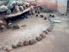 -海南热带野生动植物园