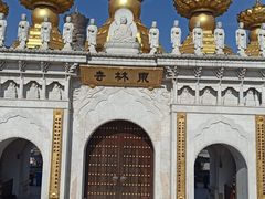 -上海东林寺(金山区)