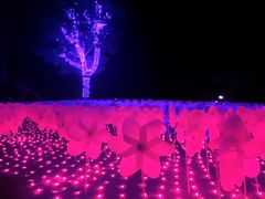 景点-苏州太湖迷笛