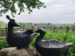 -东湖落雁景区