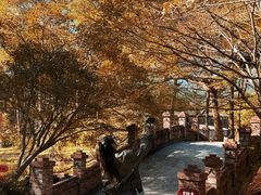 -田野绿世界